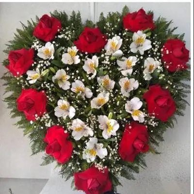 Aurora de Rosas