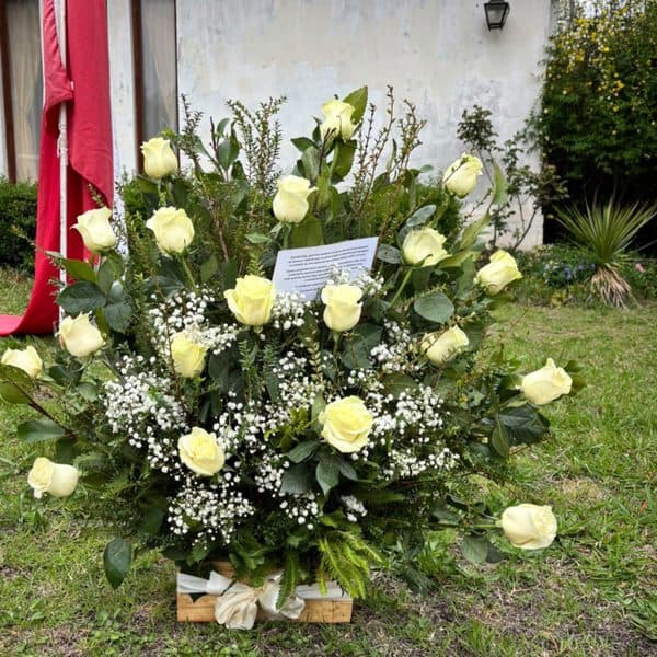 CONDOLENCIAS PUREZA EN FLOR