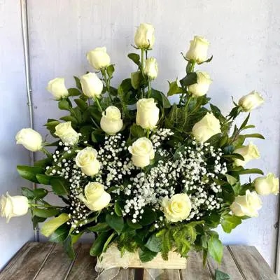 CONDOLENCIAS PUREZA EN FLOR