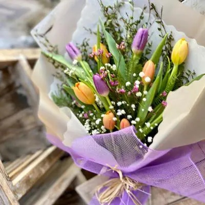 TULIPANES ARCO IRIS