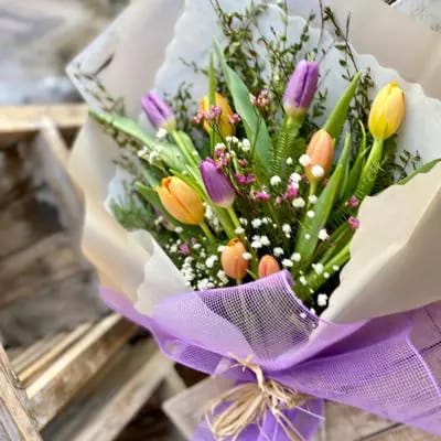 TULIPANES ARCO IRIS