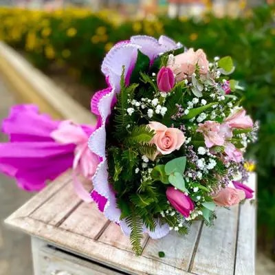 MAGENTA Y TULIPAN