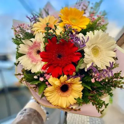 trilogía de gerberas