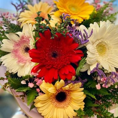 trilogía de gerberas - Imagen 3