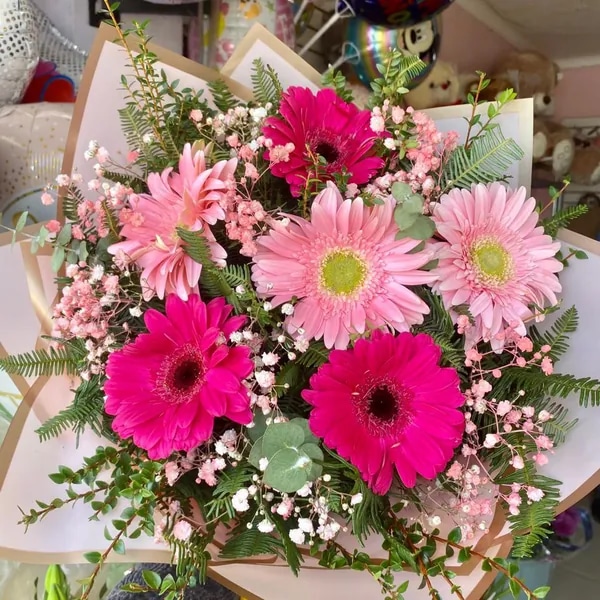 Aurora de Gerberas