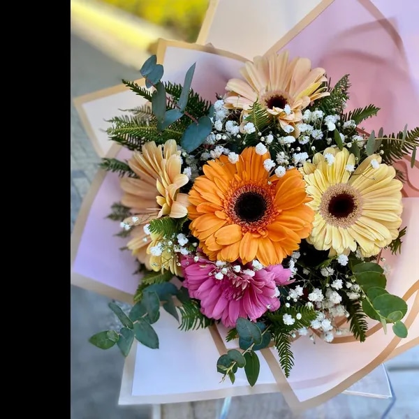 Aurora de Gerberas