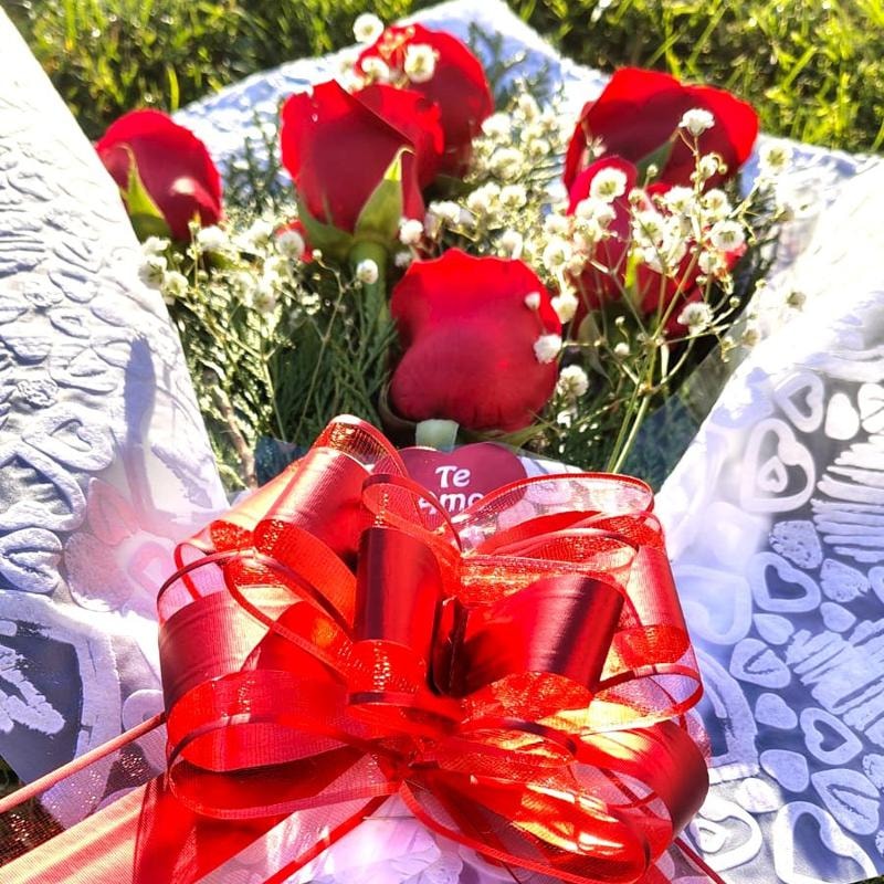 Ramo de 6 rosas rojas moña roja - Imagen 1