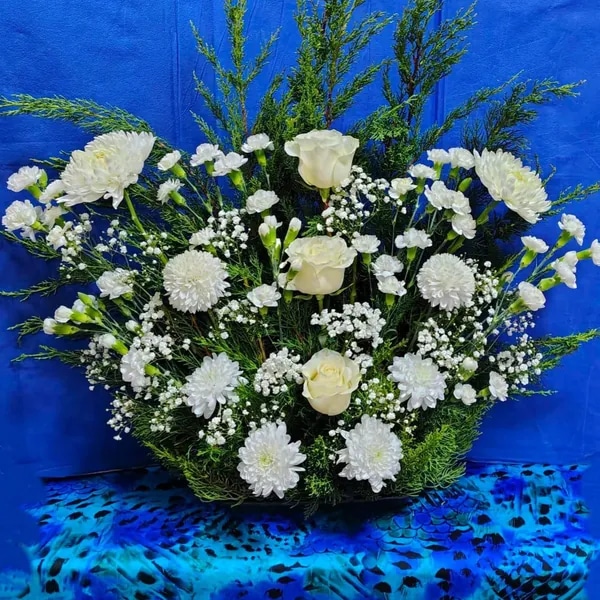 Arreglo "Angelicus candidus"