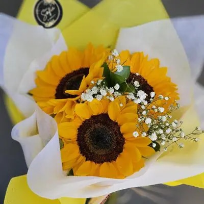 "Brilla Bonito" 🌻