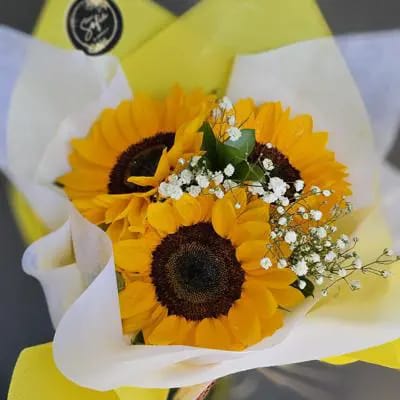 "Brilla Bonito" 🌻