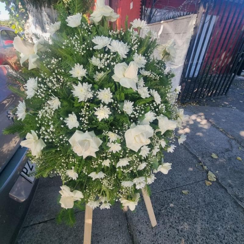 Pedido 31924