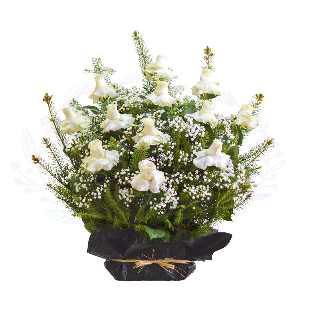 Base 12 Rosas Blancas Premium - Imagen 1