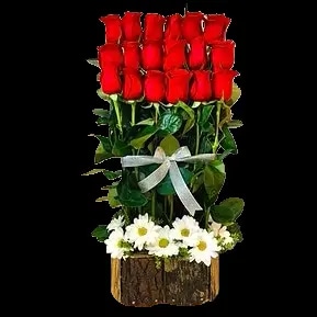 Coro 18 Rosas Rojas y Maule Premium
