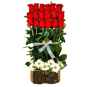 Coro 18 Rosas Rojas y Maule Premium - Imagen 1