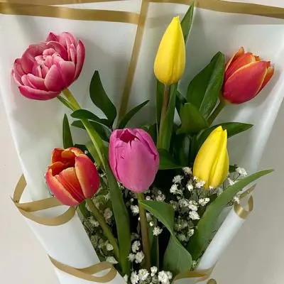 Ramo 6 Tulipanes Mix