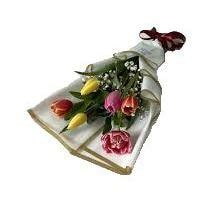 Ramo 6 Tulipanes Mix - Imagen 1
