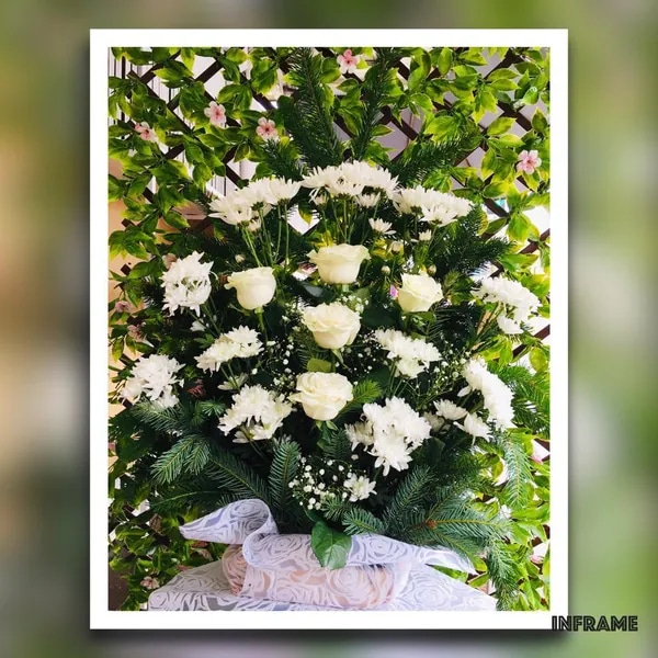 Estamos Contigo Condolencias