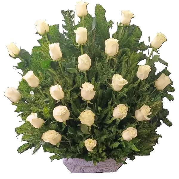 Base Grande 24 Rosas Blancas Premium