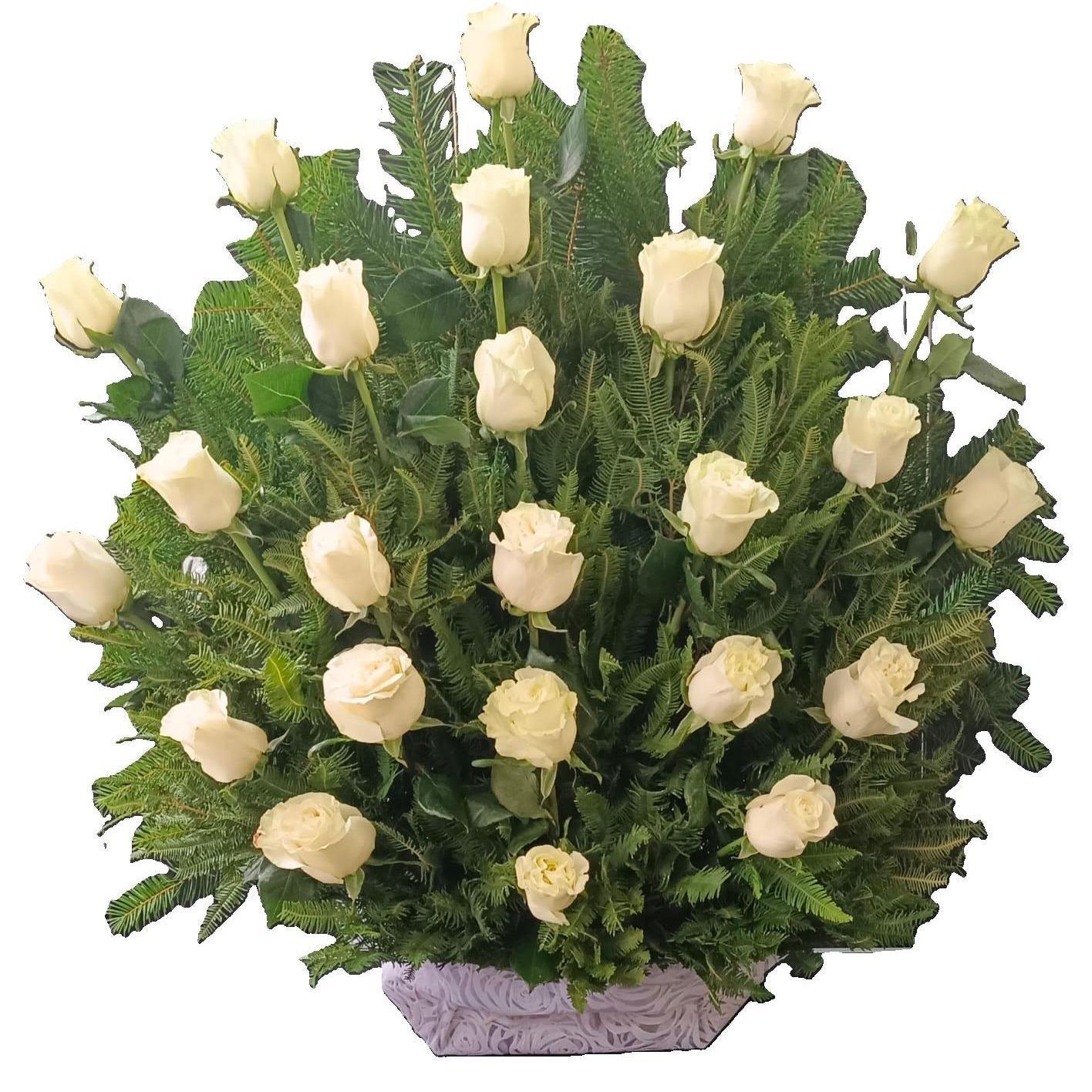 Base Grande 24 Rosas Blancas Condolencias - Imagen 1