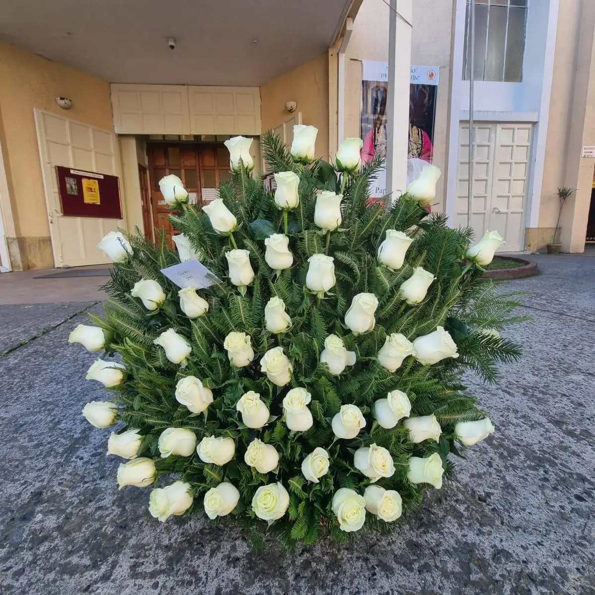 Base Majestuosa 50 Rosas Premium