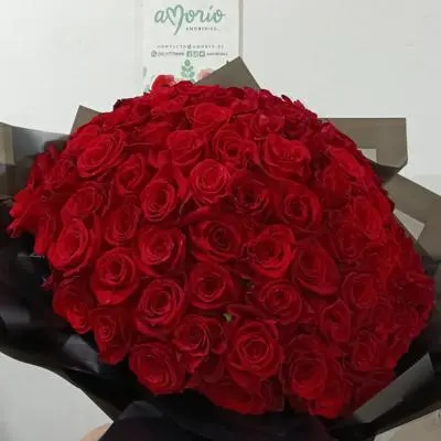 Ramo 100 rosas