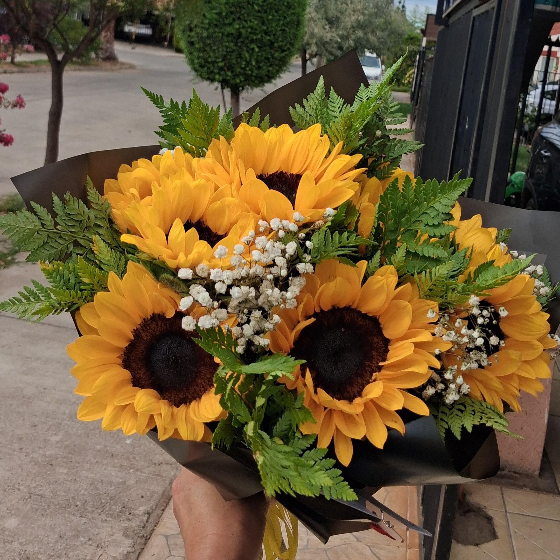 Sol de 10 girasoles - Imagen 1