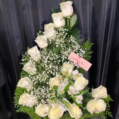 * Elegancia Blanca