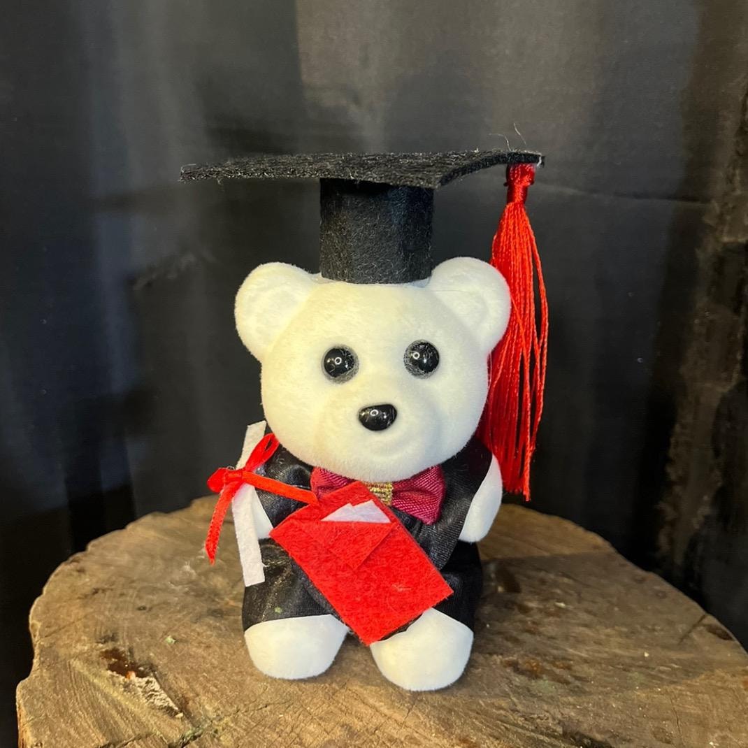 Peluche mini licenciatura - Imagen 1