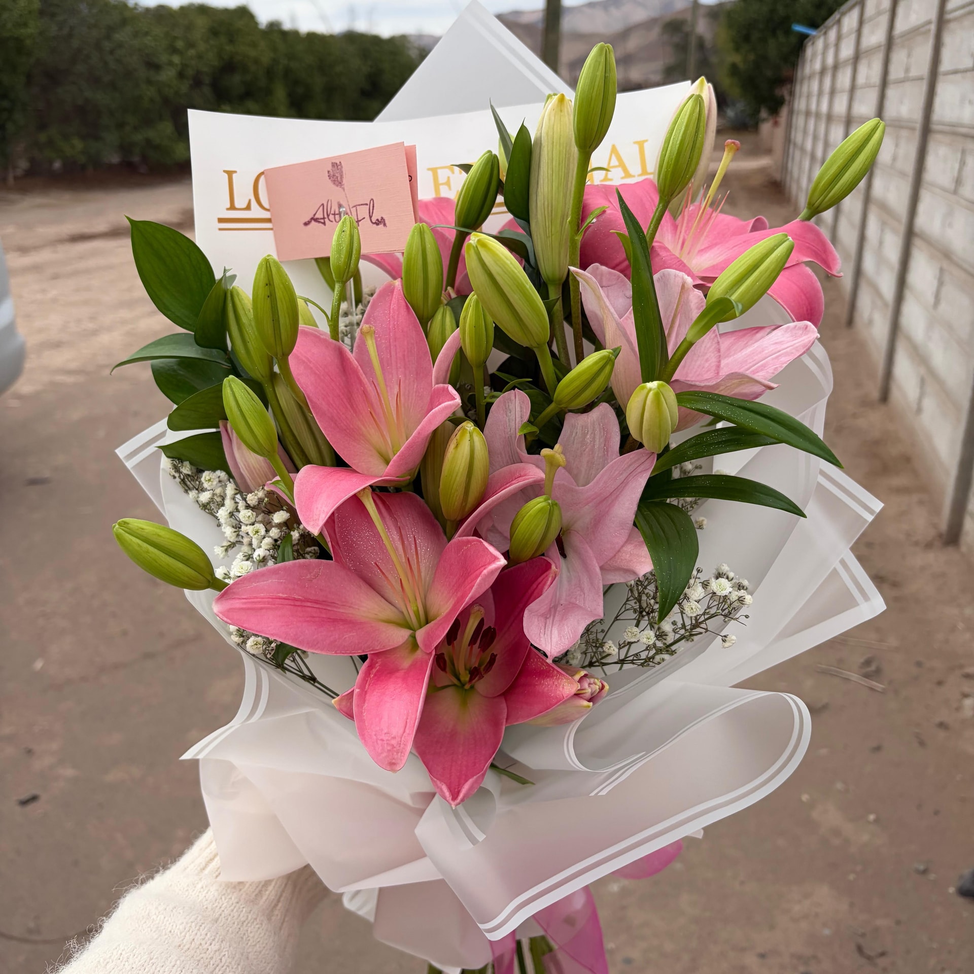 Ramo Lili - Imagen 1