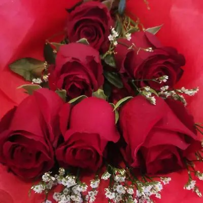 Ramo de rosas rojas 6 unidades acompañada con follaje
