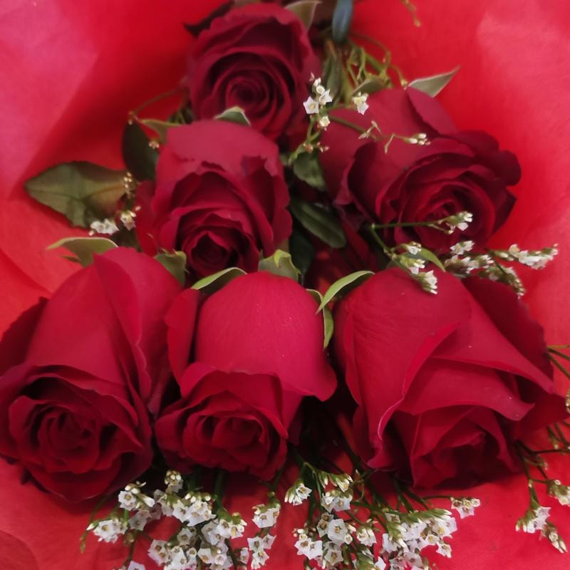 Ramo de rosas rojas 6 unidades acompañada con follaje - Imagen 1
