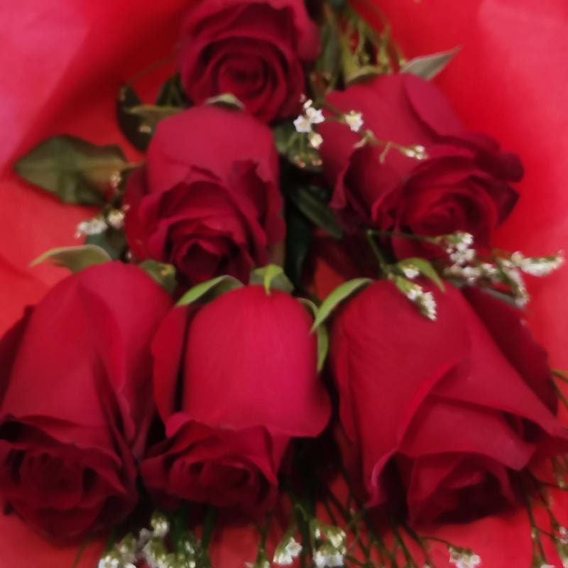 Ramo de rosas rojas 6 unidades acompañada con follaje - Imagen 2
