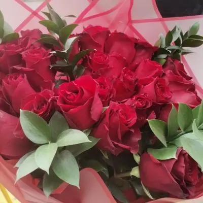 Ramo 25 unidades de Rosas acompañada de follaje