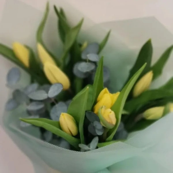Ramo de Tulipanes 10 unidades