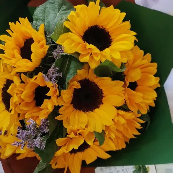 Ramo de Girasoles 15 unidades