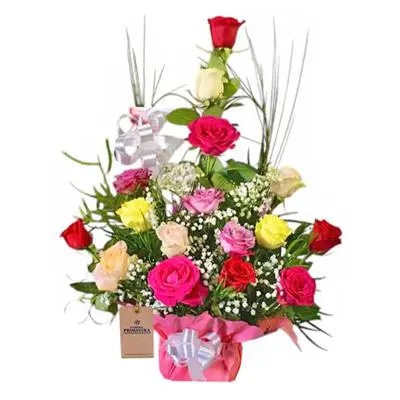 16 rosas en base amplio