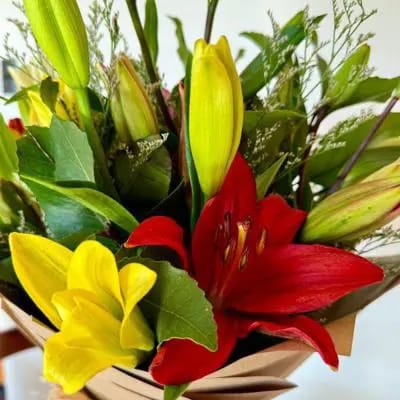 "Ramo de 10 Liliums Colores Mixtos"