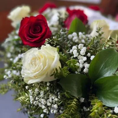 Corona condolencia 25 Rosas sin Texto