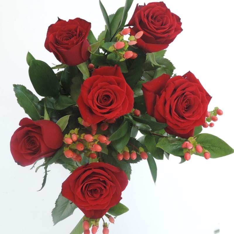 Love - Imagen 1