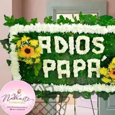 Ofrenda Floral ADIOS PAPA