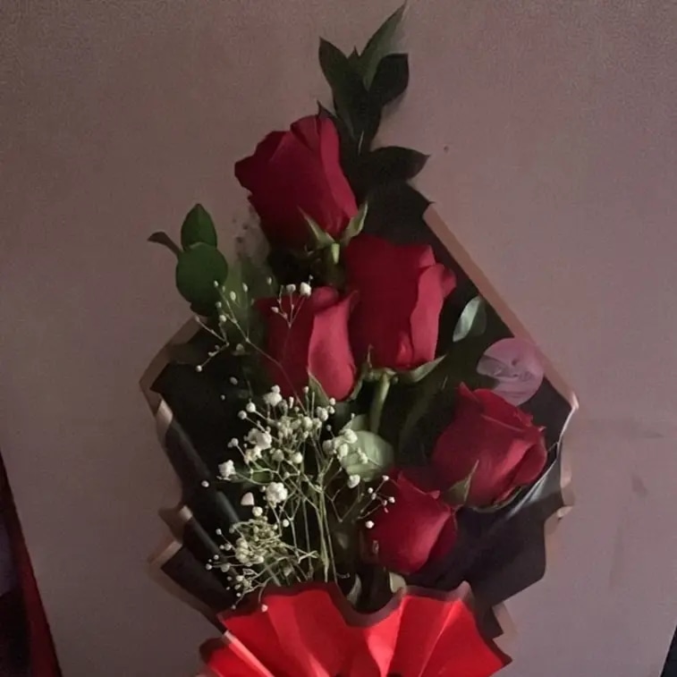 Rosas en escala