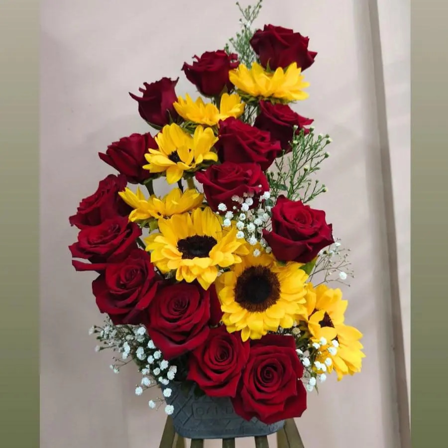 Entre soles y rosas