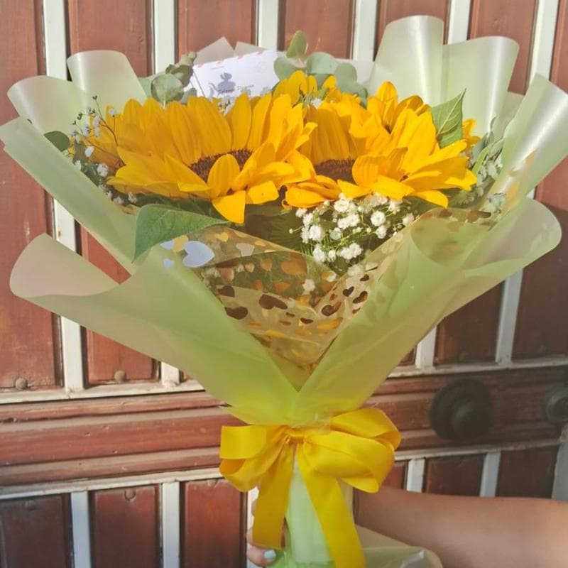 Pedido 34364