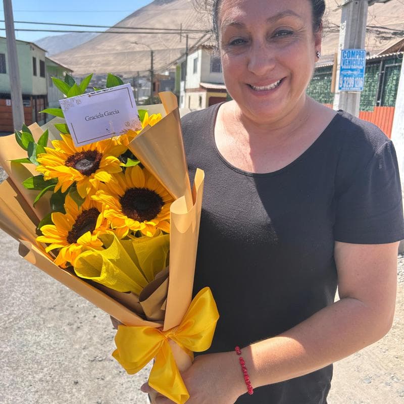 Pedido 39485