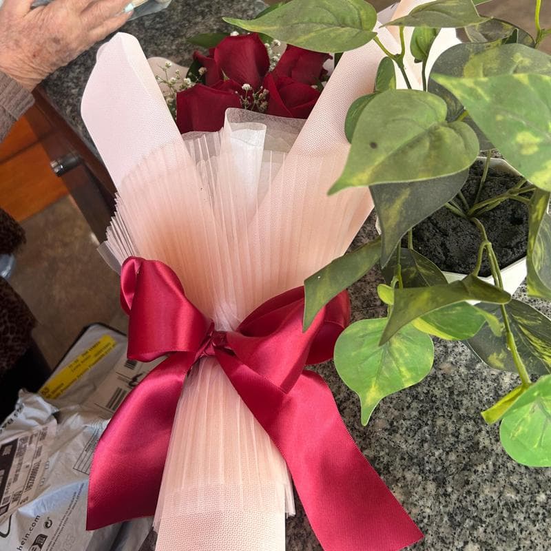 Pedido 48059