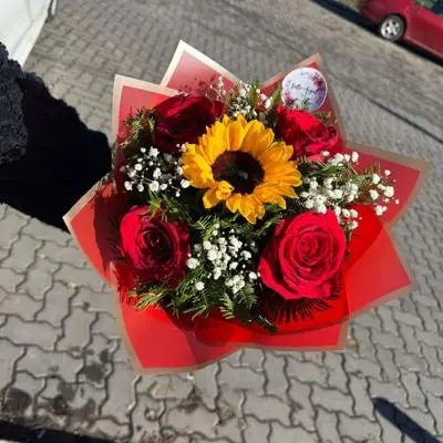 Sol de Rosas.
