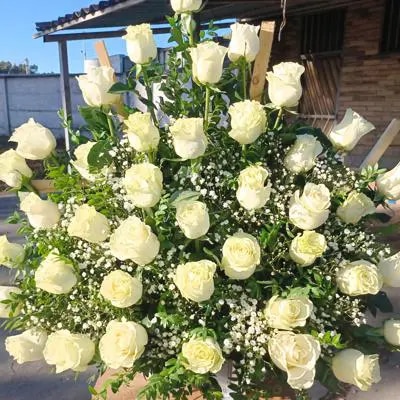 Majestad blanca