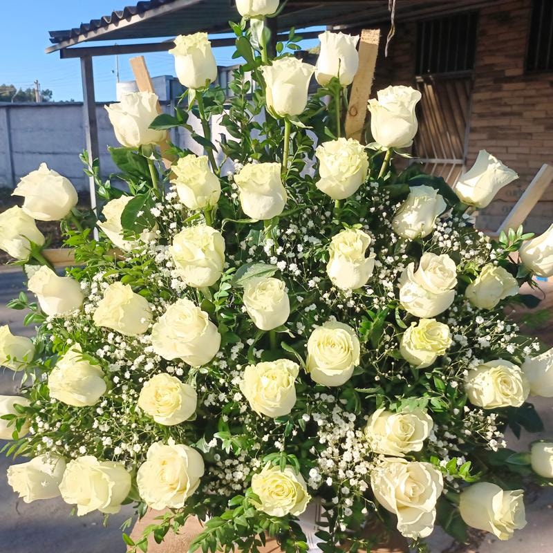 Majestad blanca - Imagen 1