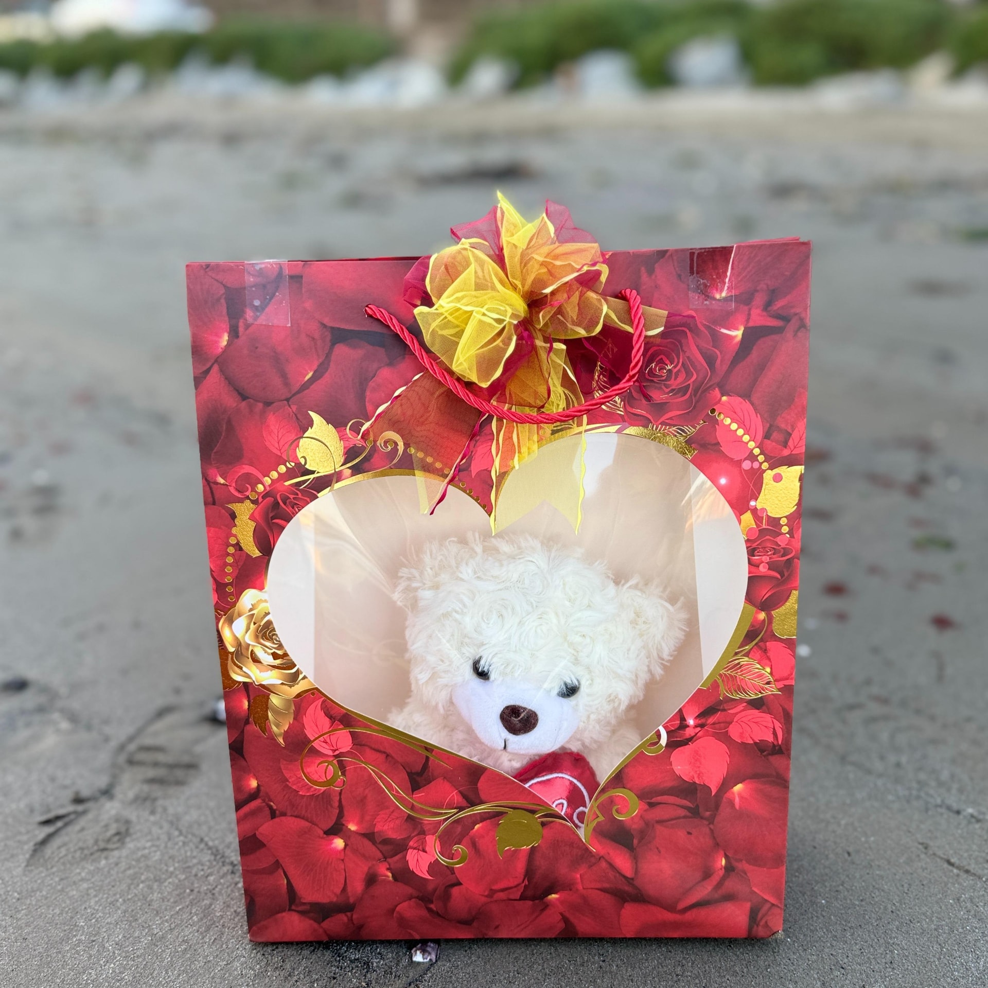 Peluche en bolsito para regalo - Imagen 1