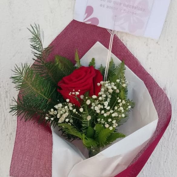 Pedido 34692